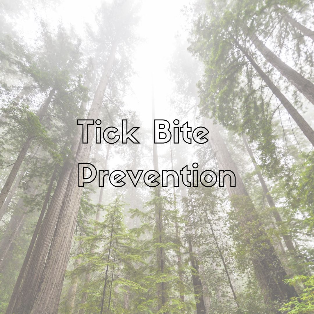 tick bite prevention and healthy skin