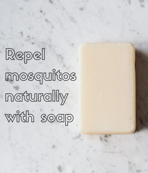 Repel mosquitos naturally with soap